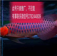 用戶昵稱(chēng)：北京魚(yú)缸定做