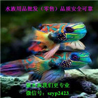 網(wǎng)友昵稱：北京魚(yú)缸定做