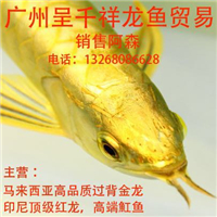 用戶昵稱：楊凌魚缸批發(fā)市場