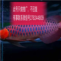 用戶昵稱：楊凌魚缸批發(fā)市場