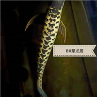 網(wǎng)友昵稱：楊凌觀賞魚批發(fā)市場(chǎng)