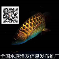 用戶昵稱：北京觀賞魚批發(fā)市場(chǎng)