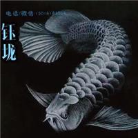 網(wǎng)友昵稱(chēng)：大慶龍魚(yú)