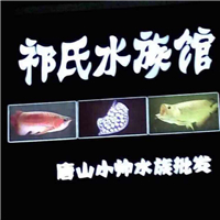 用戶昵稱：保定水族批發(fā)市場