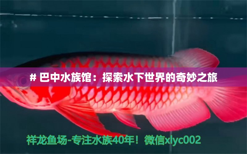 # 巴中水族館：探索水下世界的奇妙之旅