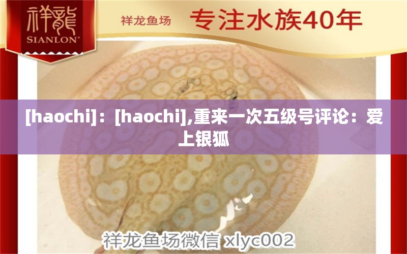 [haochi]：[haochi],重來一次五級號評論：愛上銀狐 觀賞魚論壇 第2張