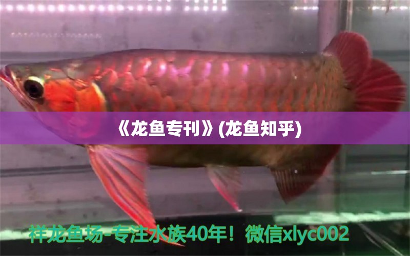 《龍魚?？?龍魚知乎) 2024第28屆中國(guó)國(guó)際寵物水族展覽會(huì)CIPS（長(zhǎng)城寵物展2024 CIPS） 第1張