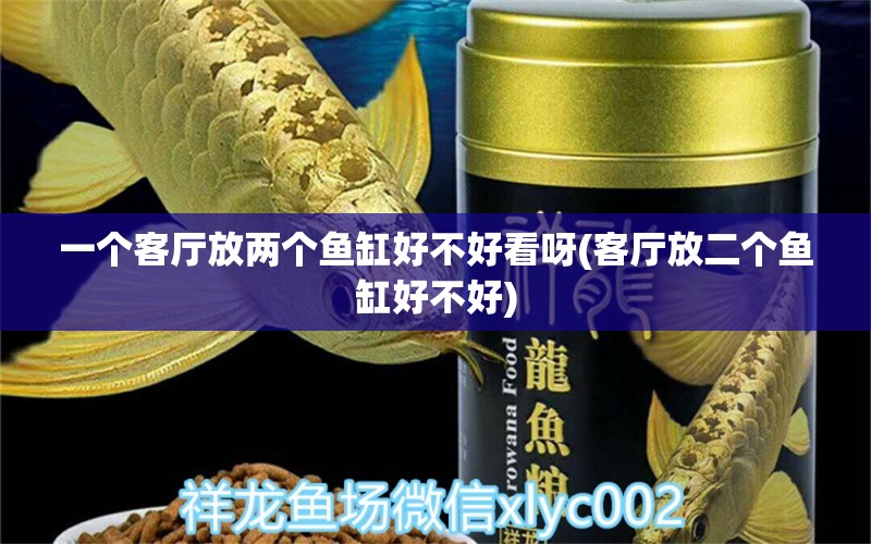 一個客廳放兩個魚缸好不好看呀(客廳放二個魚缸好不好) 熱帶魚魚苗批發(fā) 第1張