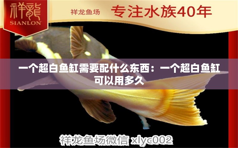 一個(gè)超白魚(yú)缸需要配什么東西：一個(gè)超白魚(yú)缸可以用多久