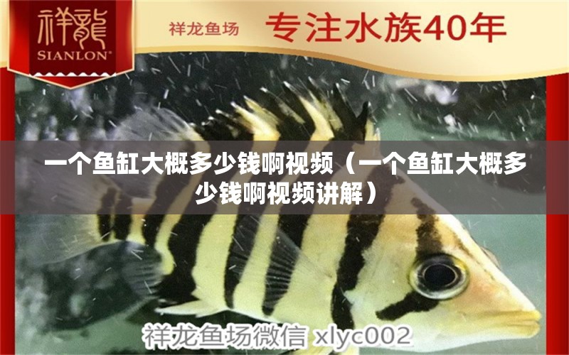 一個(gè)魚缸大概多少錢啊視頻（一個(gè)魚缸大概多少錢啊視頻講解） 巴西亞魚苗