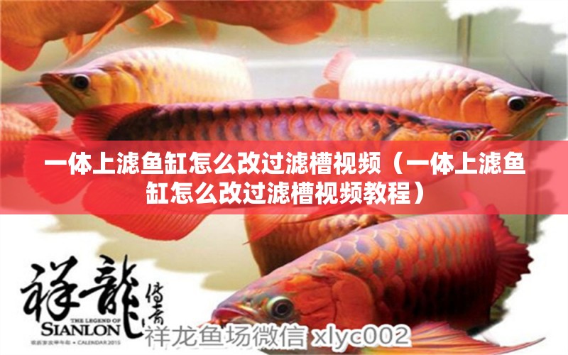 一體上濾魚(yú)缸怎么改過(guò)濾槽視頻（一體上濾魚(yú)缸怎么改過(guò)濾槽視頻教程）