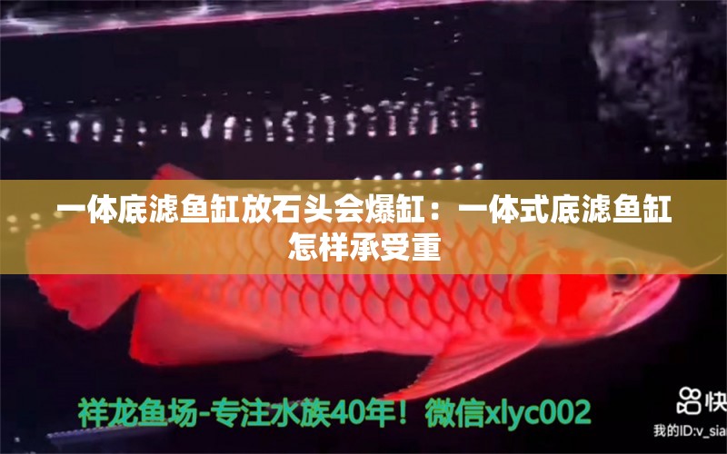 一體底濾魚(yú)缸放石頭會(huì)爆缸：一體式底濾魚(yú)缸怎樣承受重