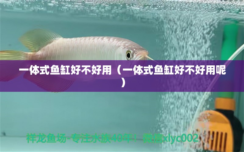 一體式魚缸好不好用（一體式魚缸好不好用呢）