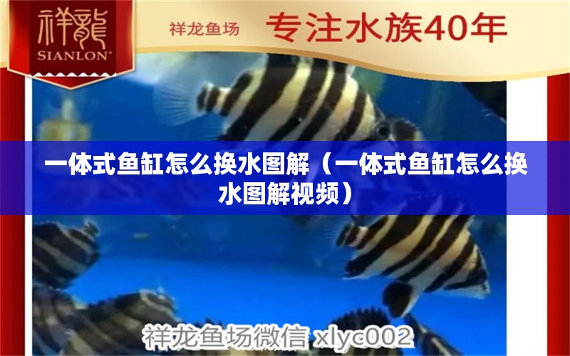 一體式魚缸怎么換水圖解（一體式魚缸怎么換水圖解視頻）