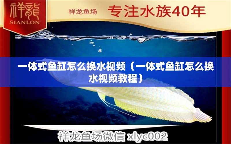 一體式魚缸怎么換水視頻（一體式魚缸怎么換水視頻教程） 祥龍水族醫(yī)院