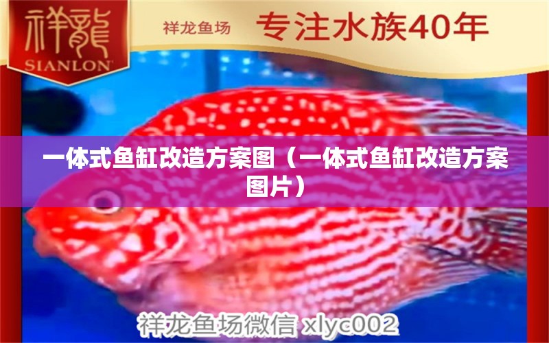 一體式魚缸改造方案圖（一體式魚缸改造方案圖片） 食人魚（水虎） 第2張