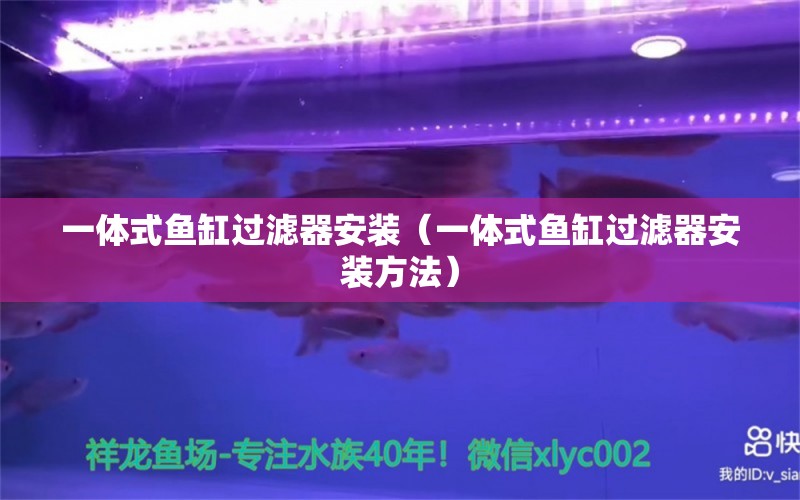 一體式魚缸過濾器安裝（一體式魚缸過濾器安裝方法） 廣州龍魚批發(fā)市場(chǎng)