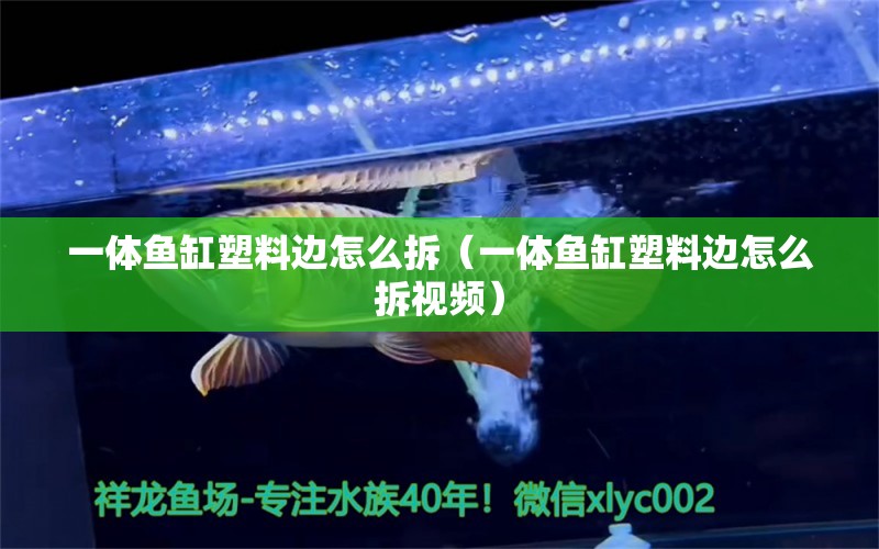 一體魚缸塑料邊怎么拆（一體魚缸塑料邊怎么拆視頻）