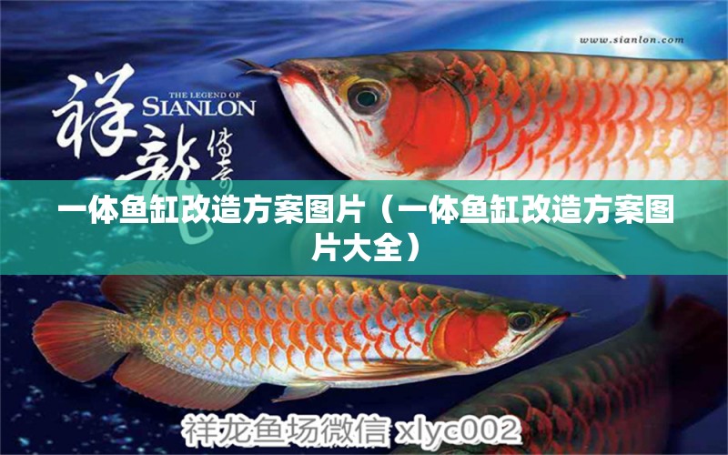 一體魚缸改造方案圖片（一體魚缸改造方案圖片大全）