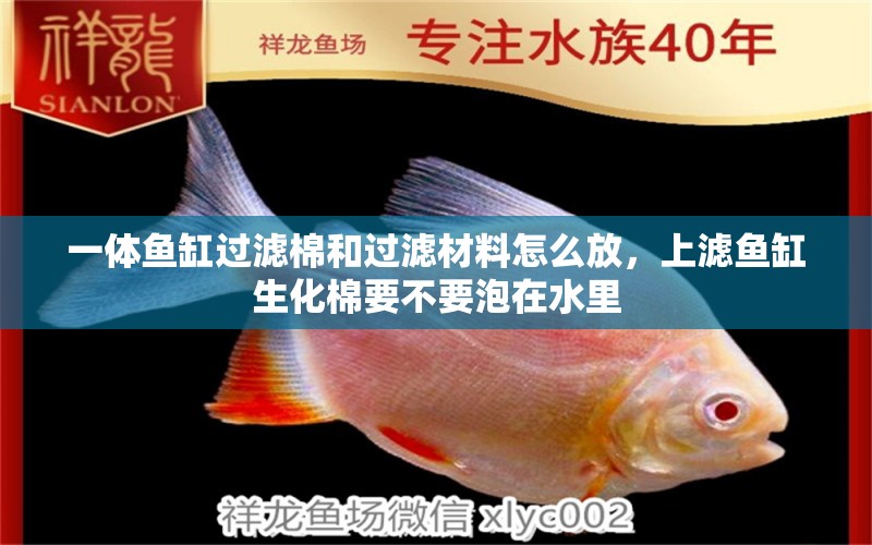 一體魚(yú)缸過(guò)濾棉和過(guò)濾材料怎么放，上濾魚(yú)缸生化棉要不要泡在水里