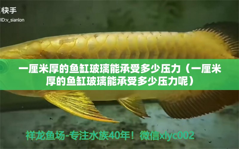 一厘米厚的魚缸玻璃能承受多少壓力（一厘米厚的魚缸玻璃能承受多少壓力呢） 魚缸百科