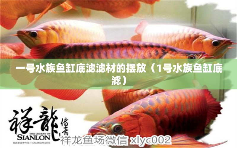 一號(hào)水族魚缸底濾濾材的擺放（1號(hào)水族魚缸底濾） 巨骨舌魚