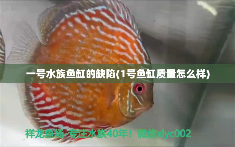 一號水族魚缸的缺陷(1號魚缸質(zhì)量怎么樣) 紅魔王銀版魚 第1張