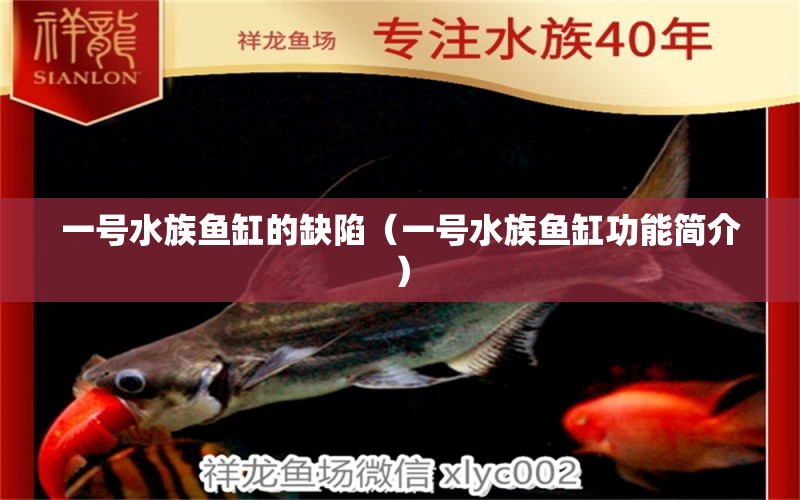 一號(hào)水族魚(yú)缸的缺陷（一號(hào)水族魚(yú)缸功能簡(jiǎn)介）