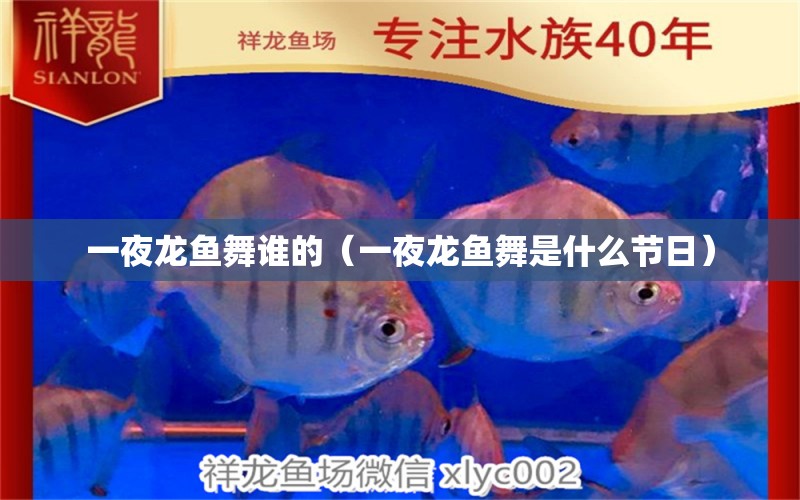 一夜龍魚舞誰的（一夜龍魚舞是什么節(jié)日）