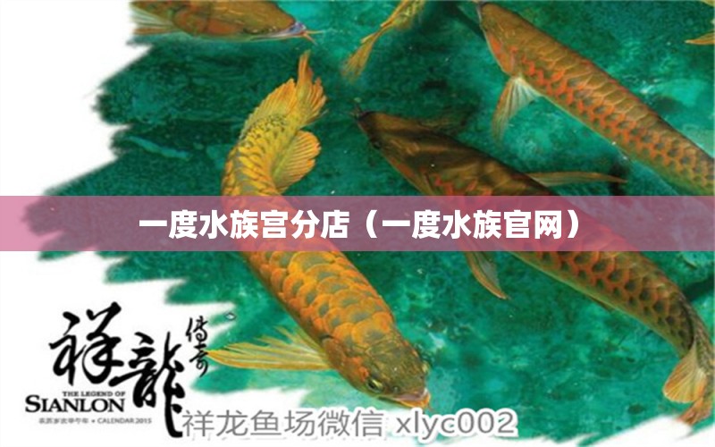 一度水族宮分店（一度水族官網(wǎng)） 全國水族館企業(yè)名錄