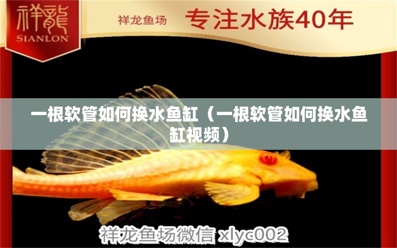 一根軟管如何換水魚(yú)缸（一根軟管如何換水魚(yú)缸視頻） 溫控設(shè)備