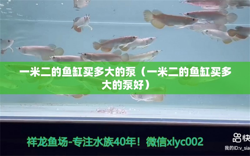 一米二的魚缸買多大的泵（一米二的魚缸買多大的泵好）