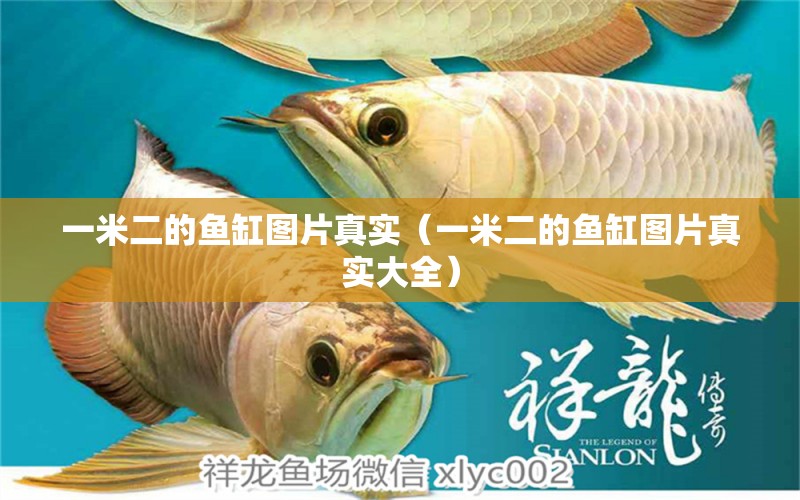 一米二的魚缸圖片真實（一米二的魚缸圖片真實大全） 其他品牌魚缸