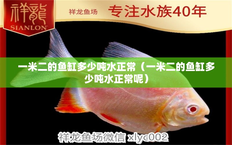 一米二的魚缸多少噸水正常（一米二的魚缸多少噸水正常呢）