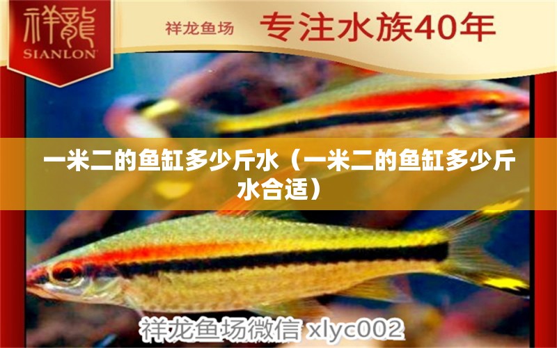 一米二的魚缸多少斤水（一米二的魚缸多少斤水合適）