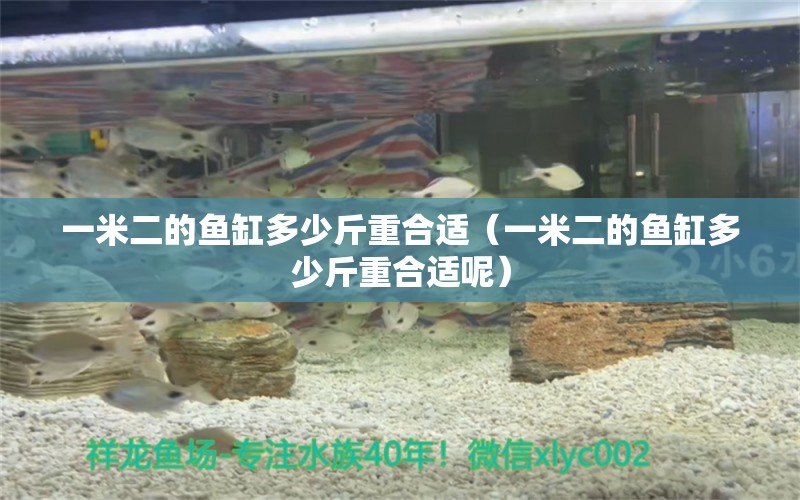 一米二的魚缸多少斤重合適（一米二的魚缸多少斤重合適呢）