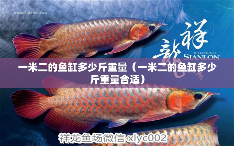 一米二的魚缸多少斤重量（一米二的魚缸多少斤重量合適） 其他品牌魚缸