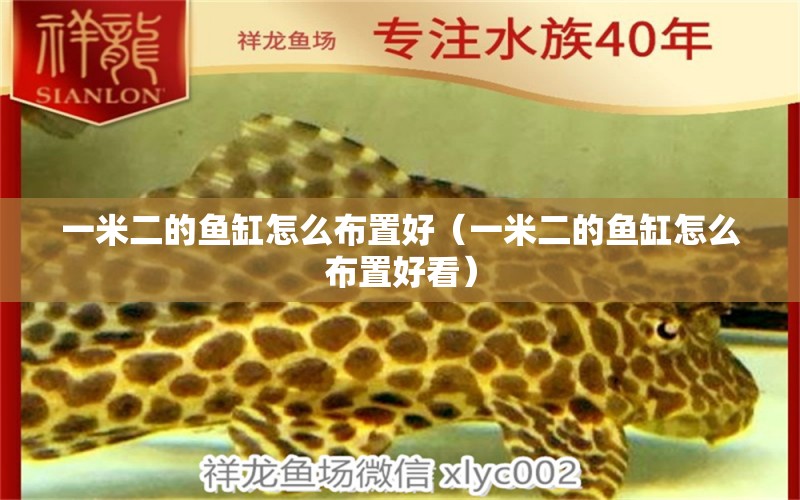 一米二的魚缸怎么布置好（一米二的魚缸怎么布置好看） 魚缸百科