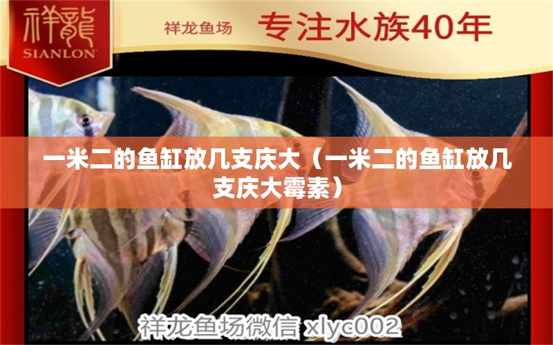 一米二的魚缸放幾支慶大（一米二的魚缸放幾支慶大霉素） 祥龍水族醫(yī)院