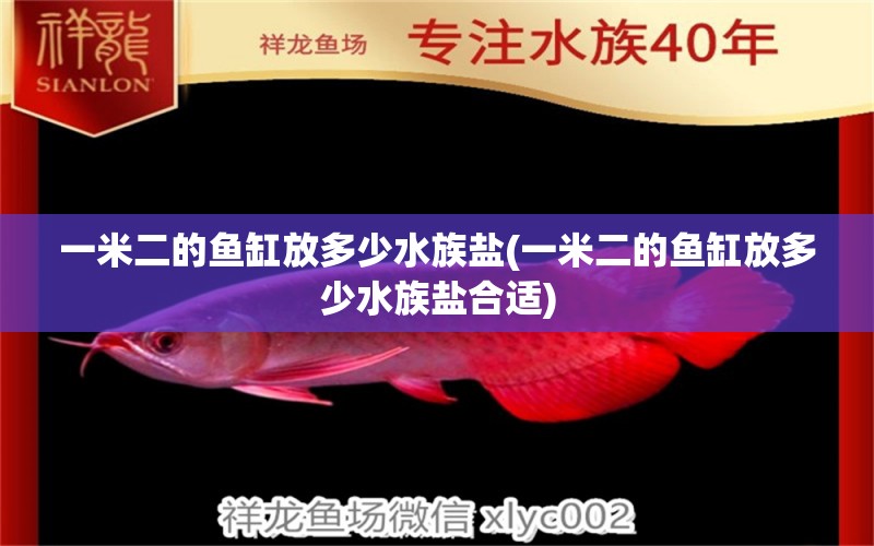 一米二的魚缸放多少水族鹽(一米二的魚缸放多少水族鹽合適) 南美異形觀賞魚 第1張