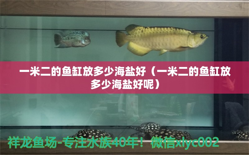 一米二的魚缸放多少海鹽好（一米二的魚缸放多少海鹽好呢） 其他品牌魚缸