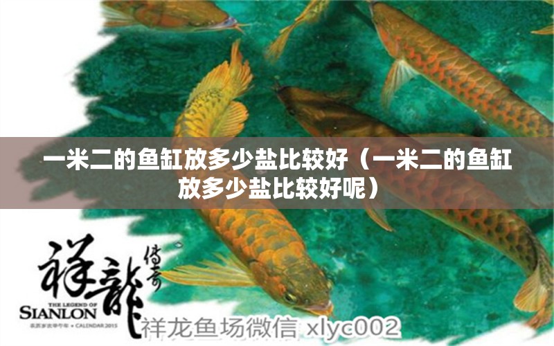 一米二的魚(yú)缸放多少鹽比較好（一米二的魚(yú)缸放多少鹽比較好呢）