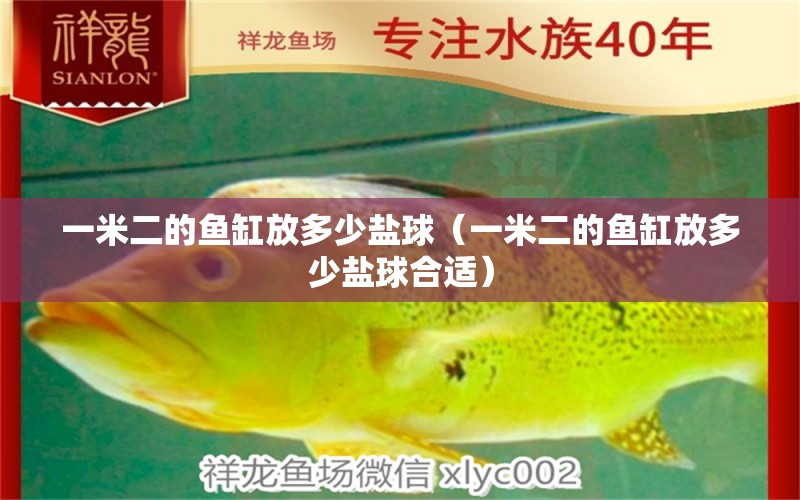 一米二的魚(yú)缸放多少鹽球（一米二的魚(yú)缸放多少鹽球合適）