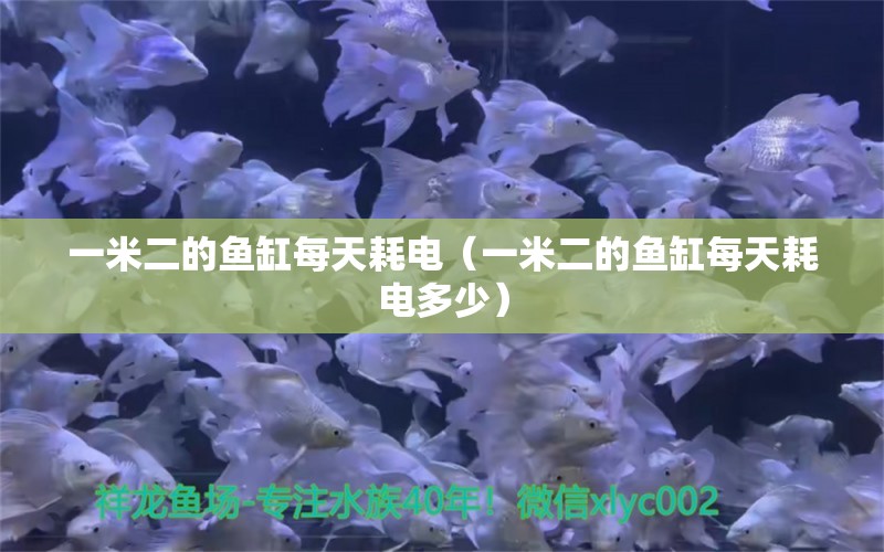 一米二的魚缸每天耗電（一米二的魚缸每天耗電多少） 魚缸百科