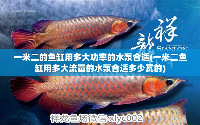 一米二的魚缸用多大功率的水泵合適(一米二魚缸用多大流量的水泵合適多少瓦的)