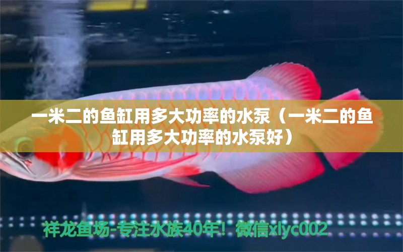 一米二的魚缸用多大功率的水泵（一米二的魚缸用多大功率的水泵好）