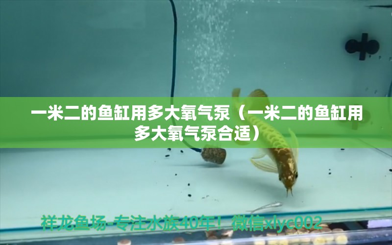 一米二的魚缸用多大氧氣泵（一米二的魚缸用多大氧氣泵合適）