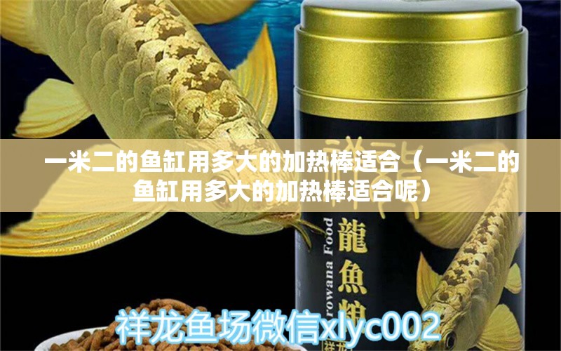 一米二的魚缸用多大的加熱棒適合（一米二的魚缸用多大的加熱棒適合呢）