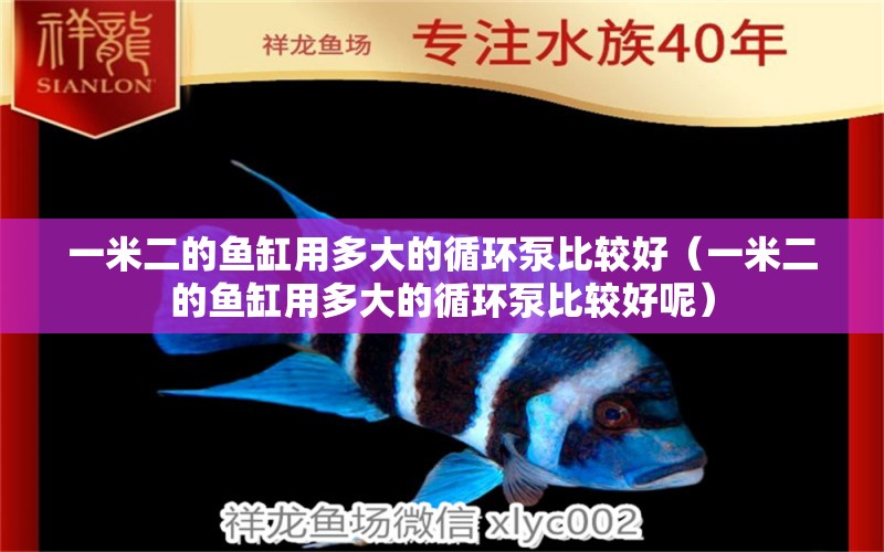 一米二的魚(yú)缸用多大的循環(huán)泵比較好（一米二的魚(yú)缸用多大的循環(huán)泵比較好呢）