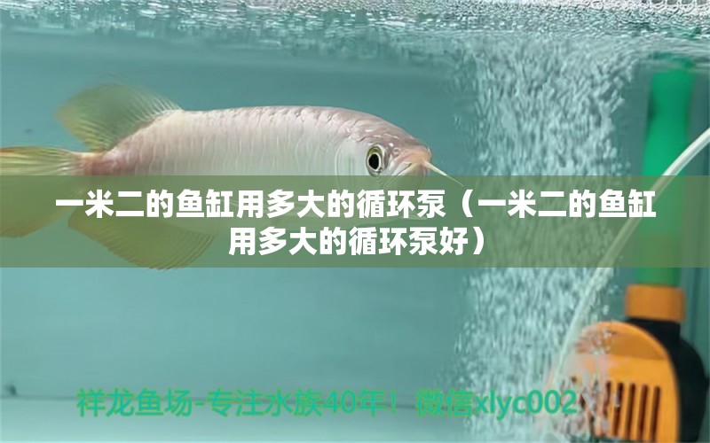 一米二的魚缸用多大的循環(huán)泵（一米二的魚缸用多大的循環(huán)泵好）